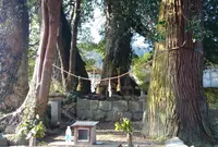 桜江大橋の写真・動画_image_162579