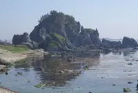 ホテルめおとの写真・動画_image_184035