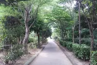 であいのみちの写真・動画_image_187492