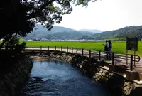 裂田の溝の写真・動画_image_190322