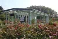 神奈川県立フラワーセンター大船植物園の写真・動画_image_197387