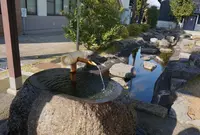芹川清水の写真・動画_image_202504