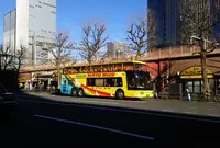 はとバスの写真・動画_image_213277