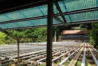 【閉業】滝流しそうめんの写真・動画_image_220230