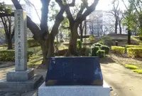隅田公園の写真・動画_image_221901