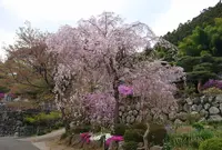 正法寺の写真・動画_image_310357