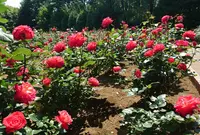 智光山公園の写真・動画_image_317417