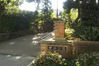 横浜公園の写真・動画_image_327237