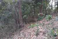 古淵鵜野森公園の写真・動画_image_331465