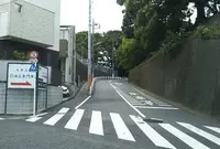 池上本門寺の写真・動画_image_457614