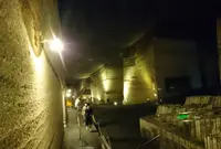 大谷石採石場跡・大谷資料館の写真・動画_image_459577