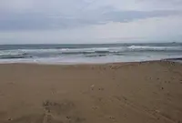 琴ケ浜の写真・動画_image_459618