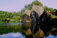Bukit Timah Nature Reserveの写真・動画_image_488132