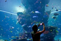 マリーン・ライフ・パーク（シー・アクアリウム）の写真・動画_image_488232