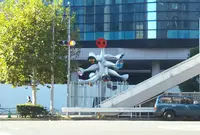 こどもの樹の写真・動画_image_512447