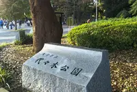 代々木公園の写真・動画_image_525930