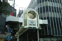 ときわ通りの写真・動画_image_654715