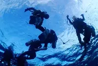 城ヶ島ダイビングセンターの写真・動画_image_659396