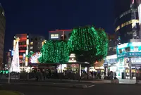赤羽駅の写真・動画_image_692348