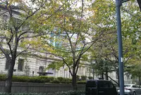 日本銀行本館の写真・動画_image_699293