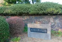 野川公園の写真・動画_image_717715