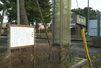 岩瀬中央公園の写真・動画_image_739708
