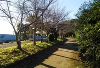 新木場緑道公園の写真・動画_image_766674