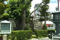 深川不動堂の写真・動画_image_766682