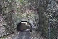 くろまんぷの写真・動画_image_789225
