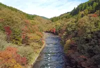 阿蘇レインボーバレーの写真・動画_image_801399