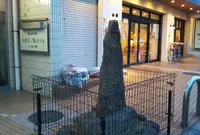 湘南すばな通りの写真・動画_image_858801