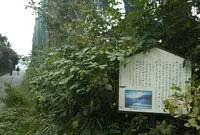 観音崎ボードウォークの写真・動画_image_858915