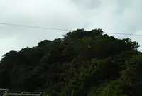 千代ヶ崎砲台跡の写真・動画_image_874505