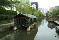 木場親水公園の写真・動画_image_874611