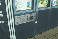 別府鉄道土山線の写真・動画_image_934491