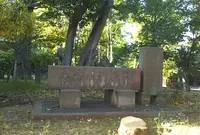 木場の角乗の写真・動画_image_935162