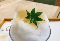 miel mieの写真・動画_image_954295