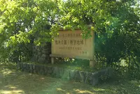 鴨池公園の写真・動画_image_960472