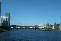 隅田川テラス 隅田川大橋下の写真・動画_image_963935