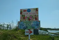里脇観光ぶどう園の写真・動画_image_964581