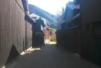 長良川鵜飼観覧船の写真・動画_image_63558