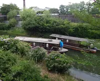 伏見十石舟の写真・動画_image_83429