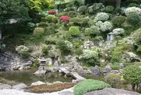 法樹寺の写真・動画_image_39000