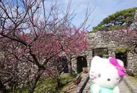 花人逢の写真・動画_image_72065