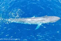 トリンコマリーの写真・動画_image_51014