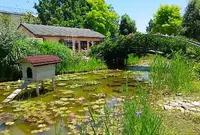 びわ湖大津館（旧琵琶湖ホテル）の写真・動画_image_79496