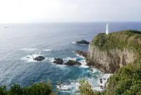 足摺岬の写真・動画_image_151024