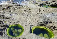 波蝕甌穴群の写真・動画_image_184190
