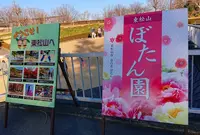 東松山ぼたん園の写真・動画_image_722997