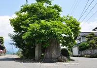 永源寺の写真・動画_image_67125